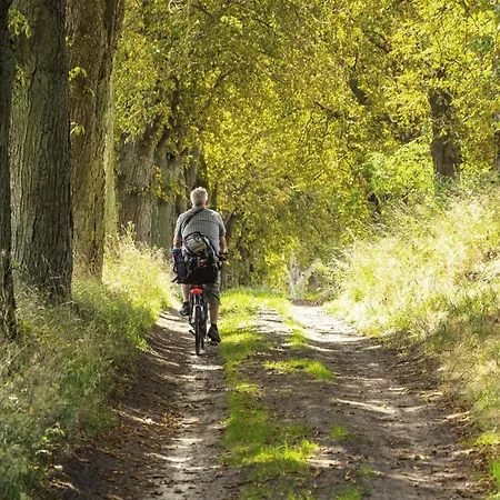 Wiesenfalter - Im Herzen Der Mecklenburgischen Schweiz Direkt Am Krakower